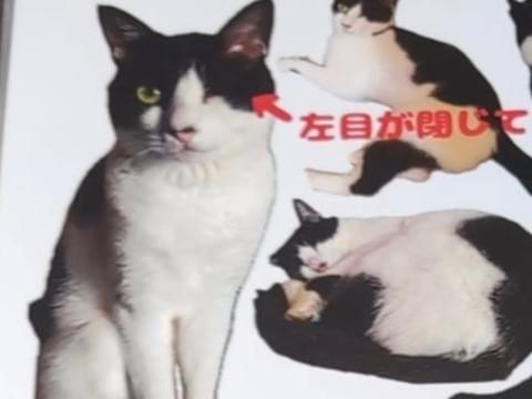 ルゥちゃん ルゥちゃん