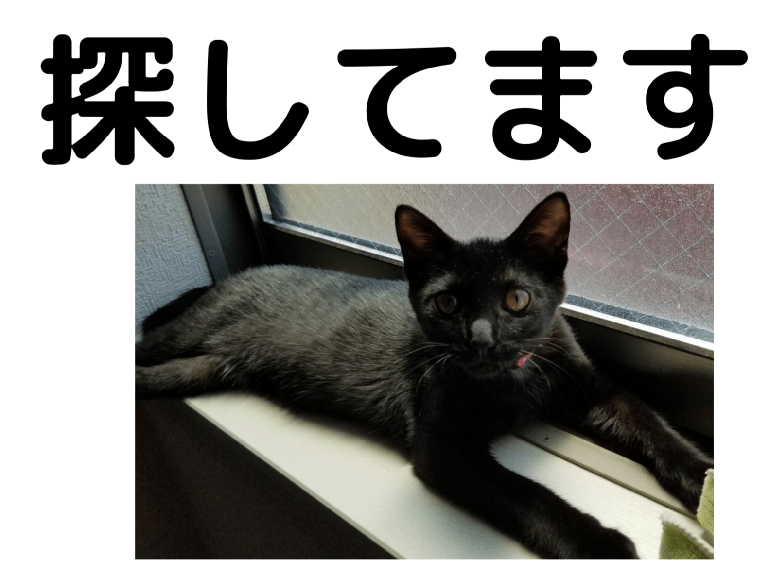 すずちゃん すずちゃん