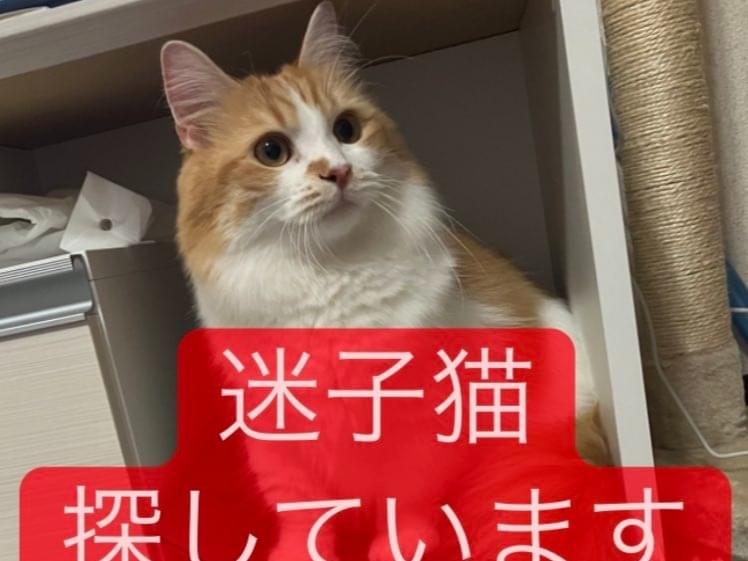 ミルちゃん ミルちゃん