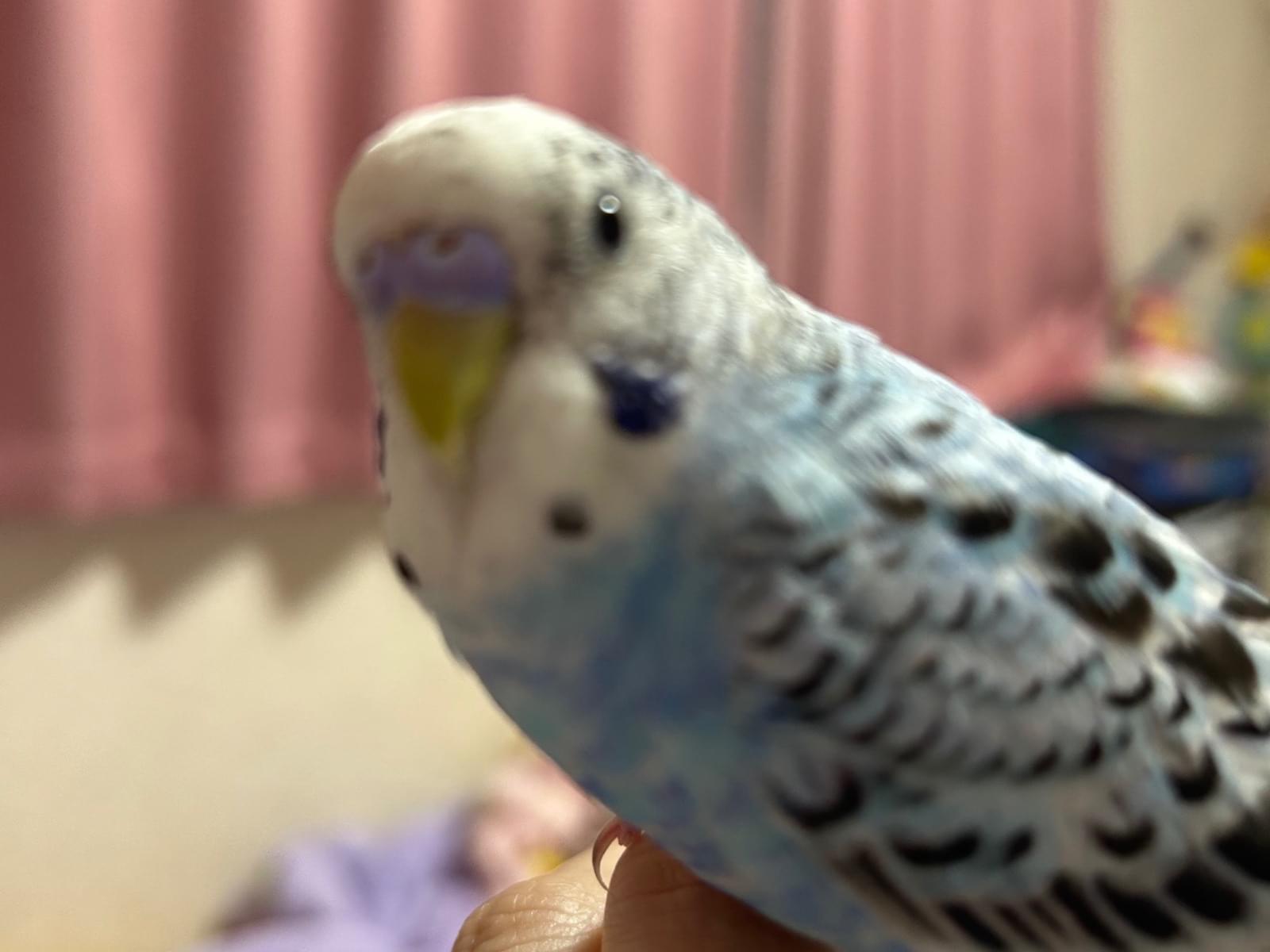 みずうみちゃん
