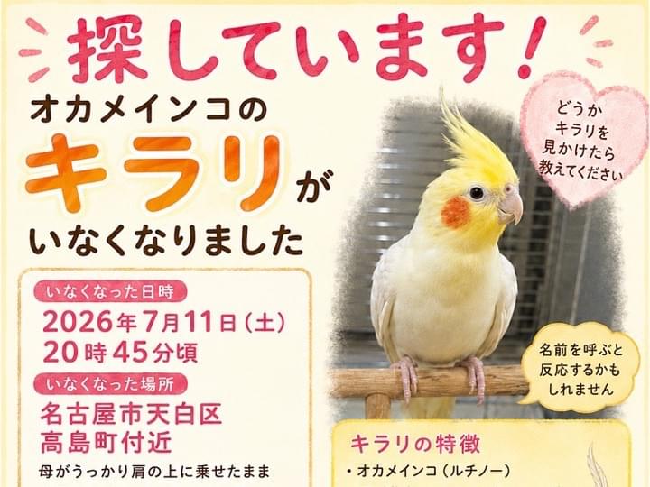 キラリちゃん キラリちゃん