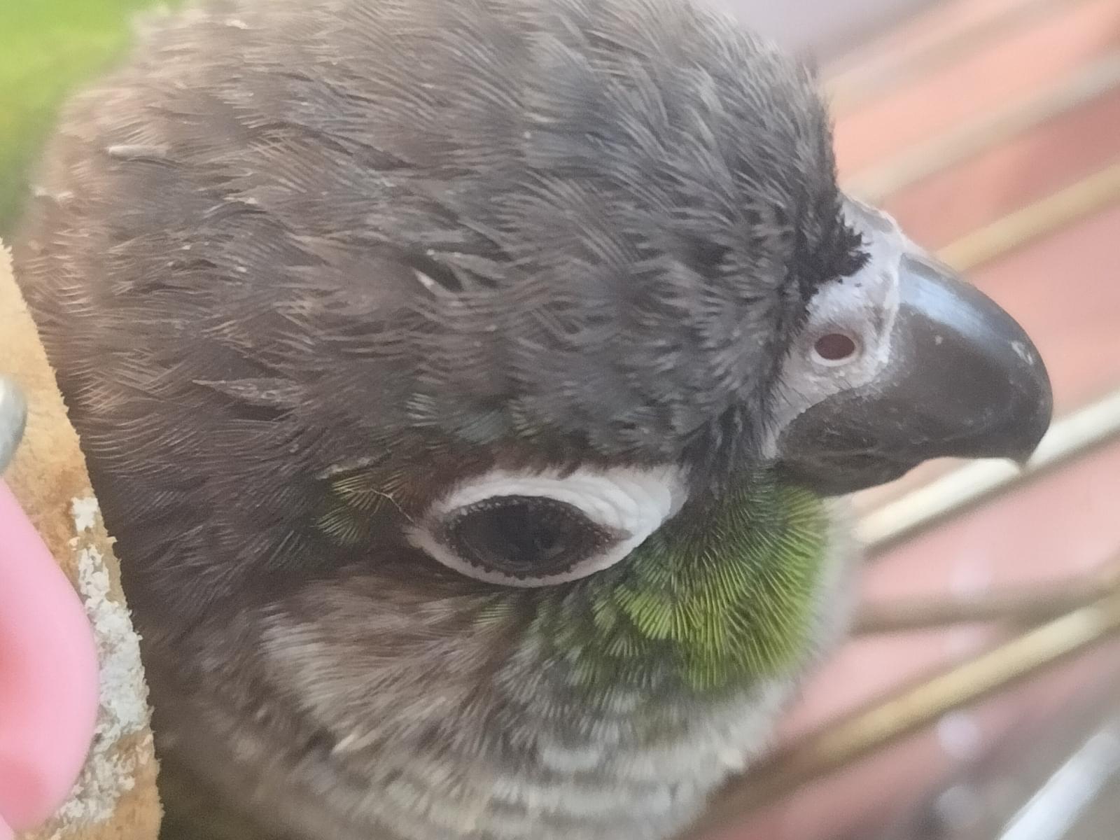 もっちちゃん もっちちゃん