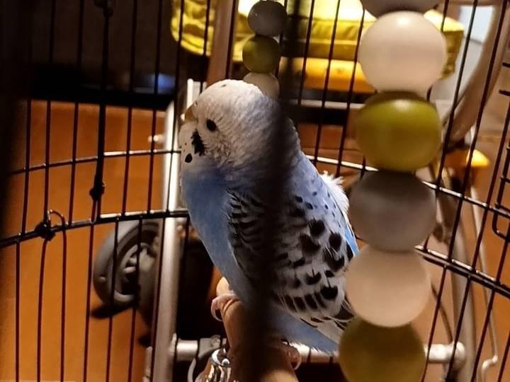 ララちゃん ララちゃん