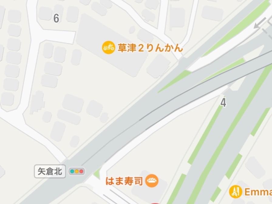 目撃された鳥 目撃された鳥