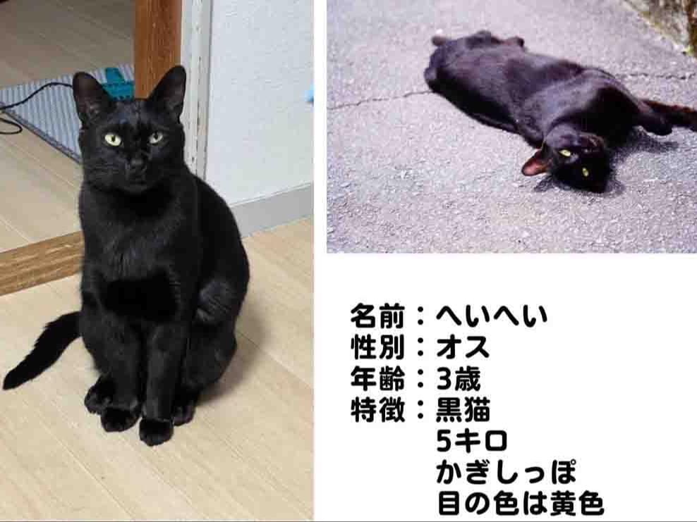 ヘイヘイちゃん ヘイヘイちゃん