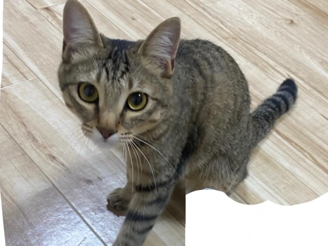 チャンジャちゃん