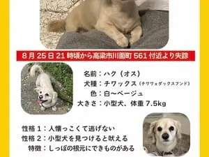 探しています!!!