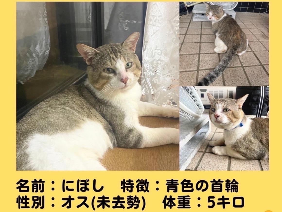 にぼしちゃん にぼしちゃん