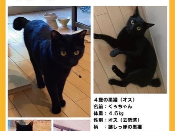 くぅちゃん くぅちゃん