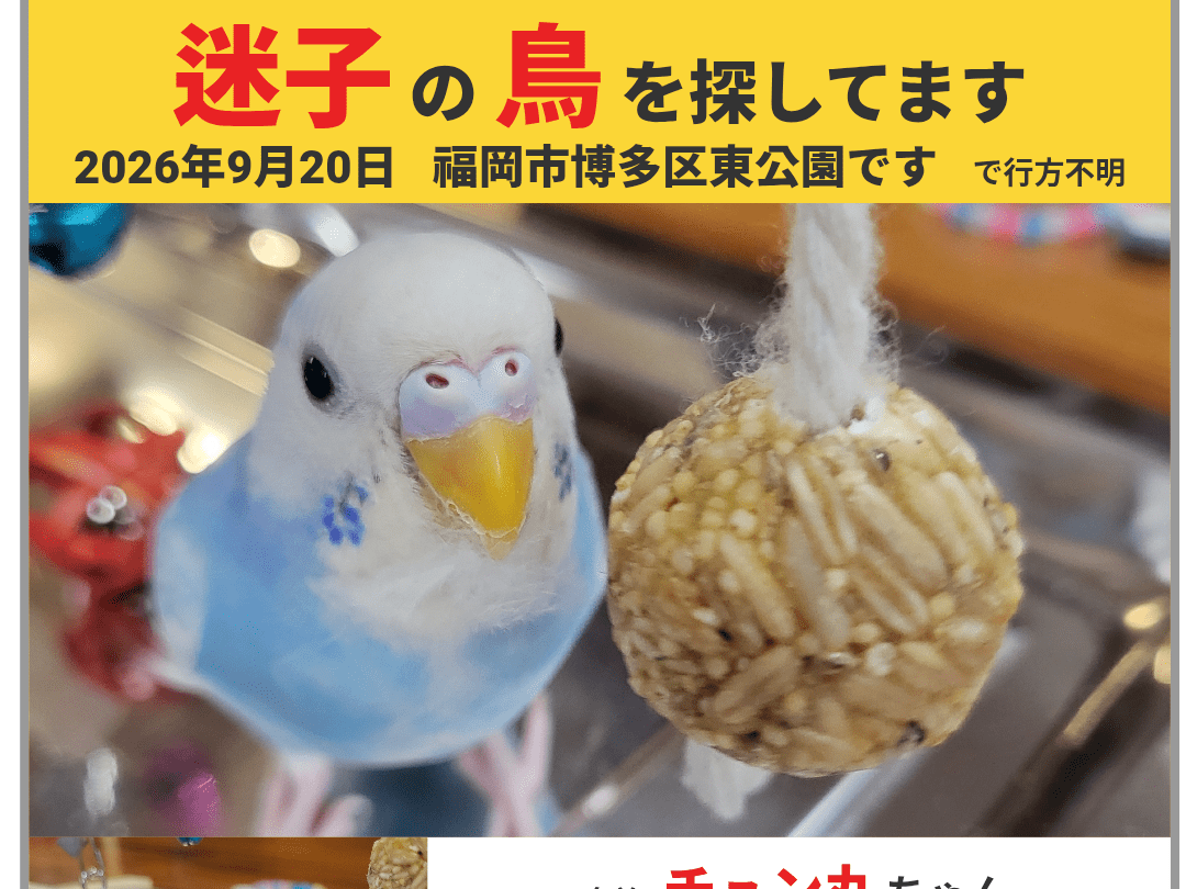 チュン丸ちゃん チュン丸ちゃん