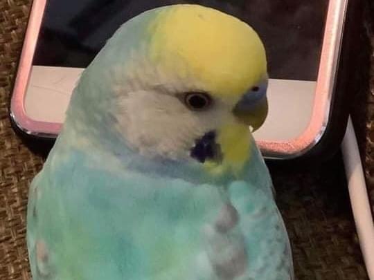 メイちゃん メイちゃん