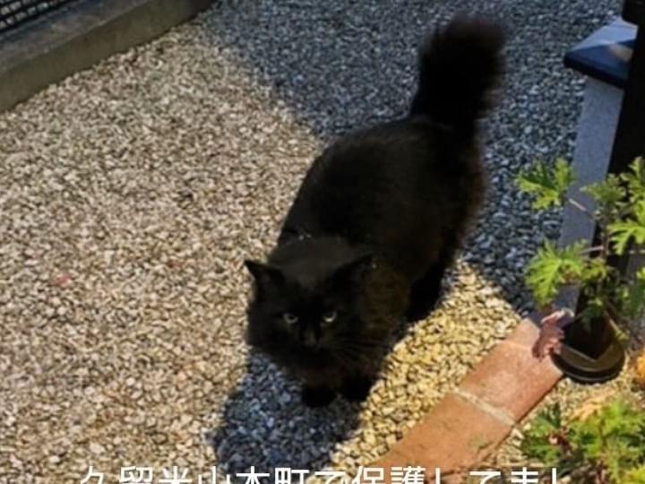 ポン太ちゃん ポン太ちゃん
