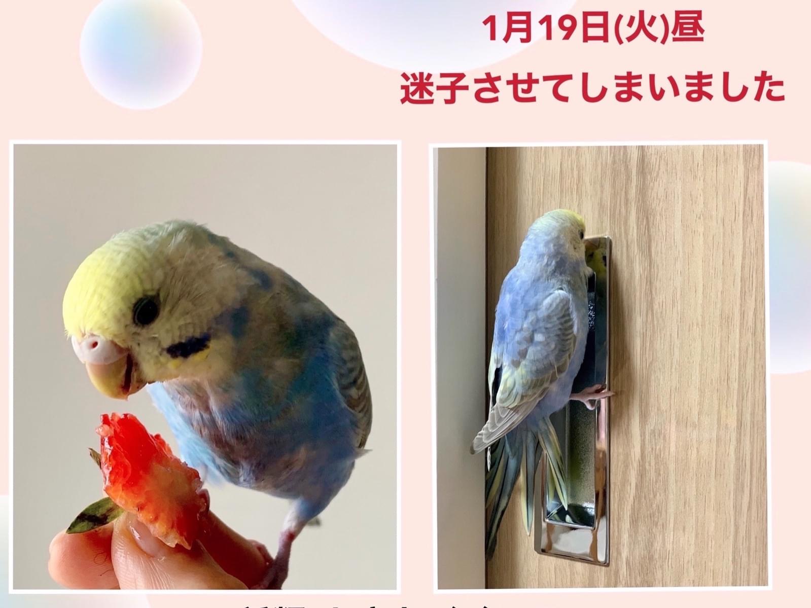 そらちゃん そらちゃん