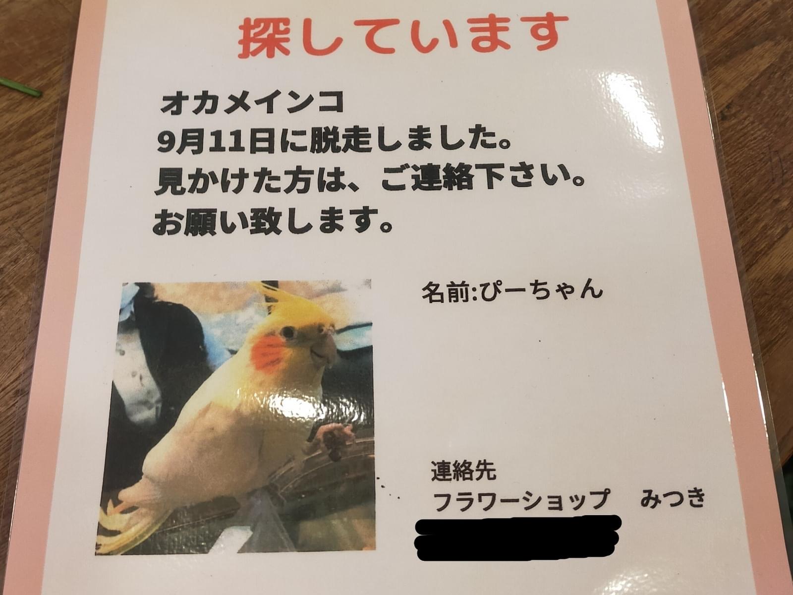 ぴーちゃん ぴーちゃん