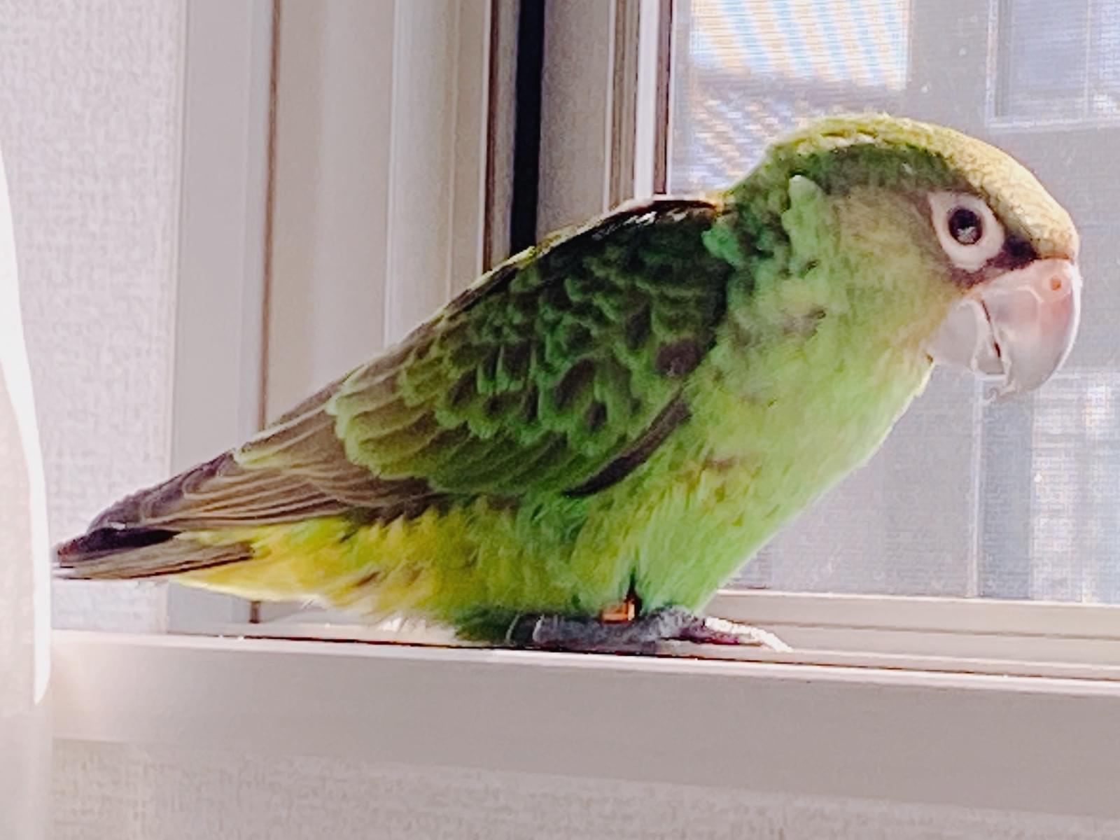 ユウガちゃん ユウガちゃん
