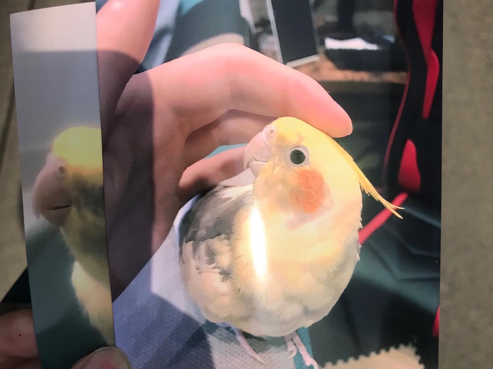 ゆいちゃん ゆいちゃん