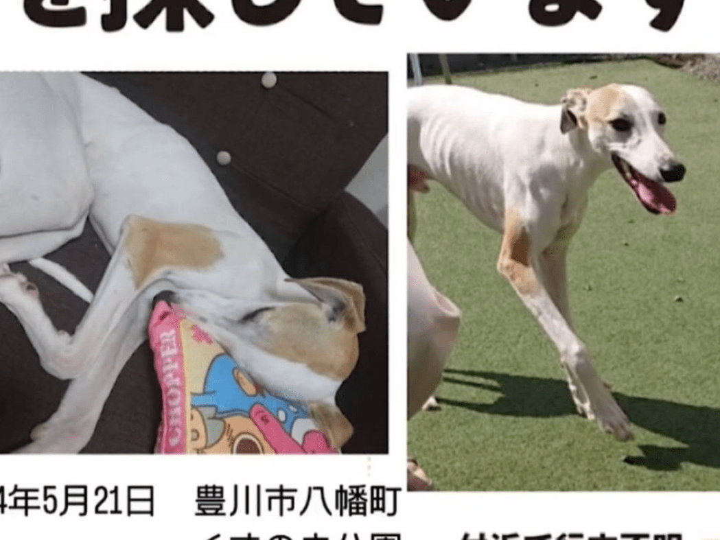 まるちゃん まるちゃん