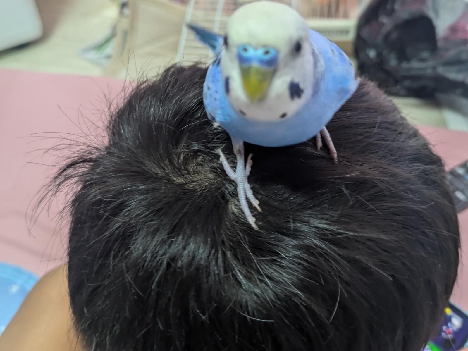 ナギちゃん ナギちゃん