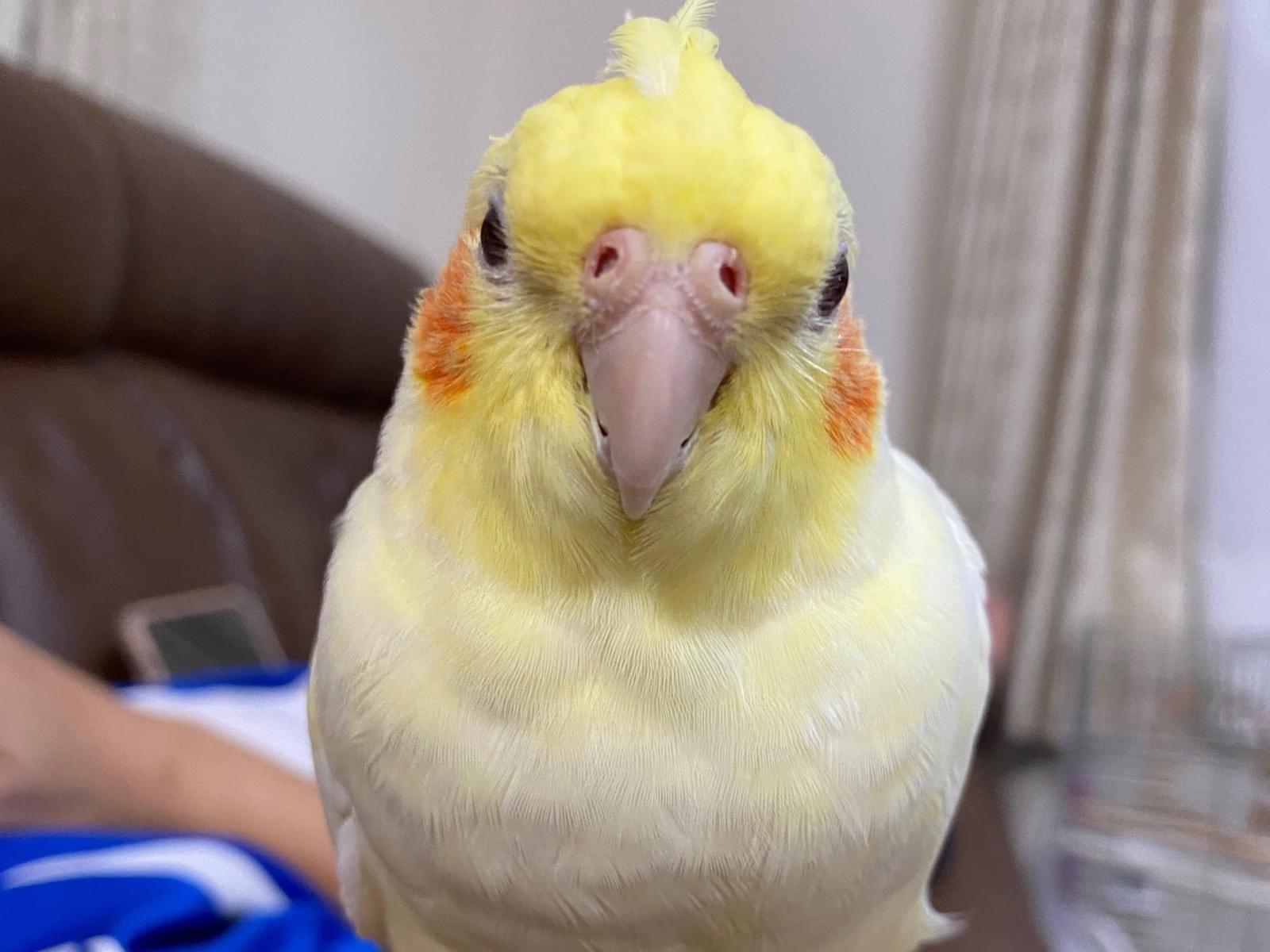 アースちゃん アースちゃん