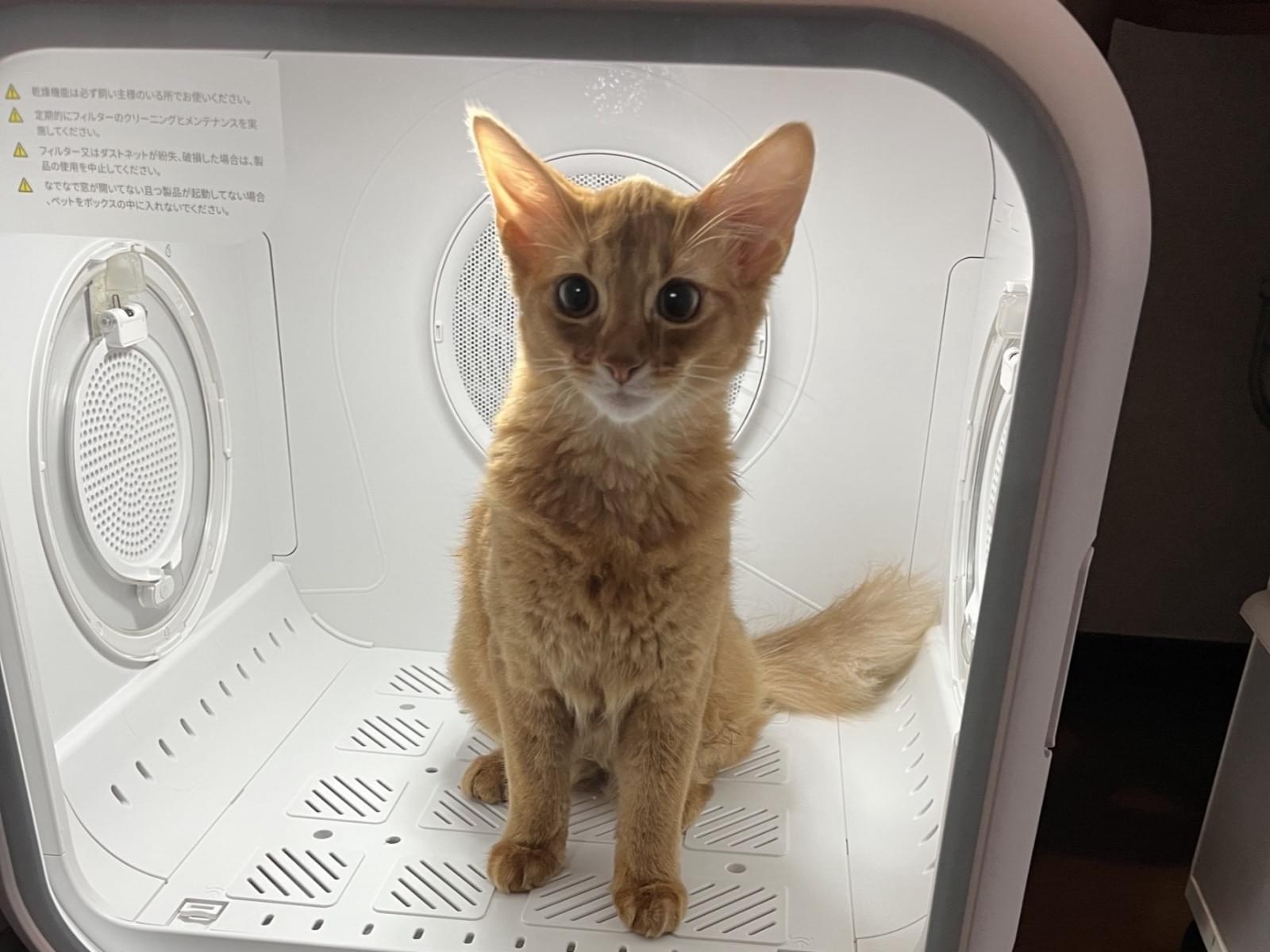 ヒナタちゃん