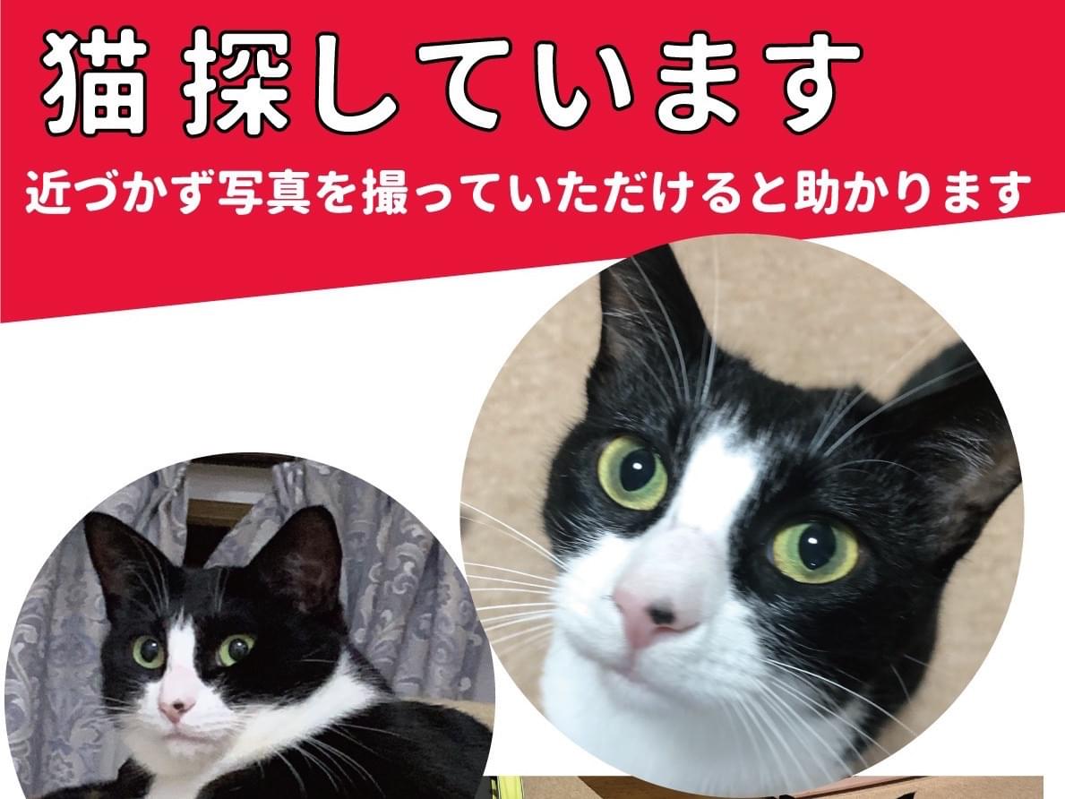 しーちゃん しーちゃん