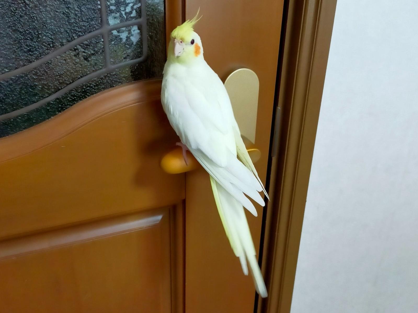 サンちゃん サンちゃん