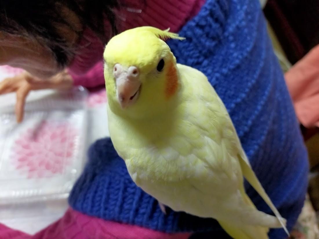 クーちゃん クーちゃん
