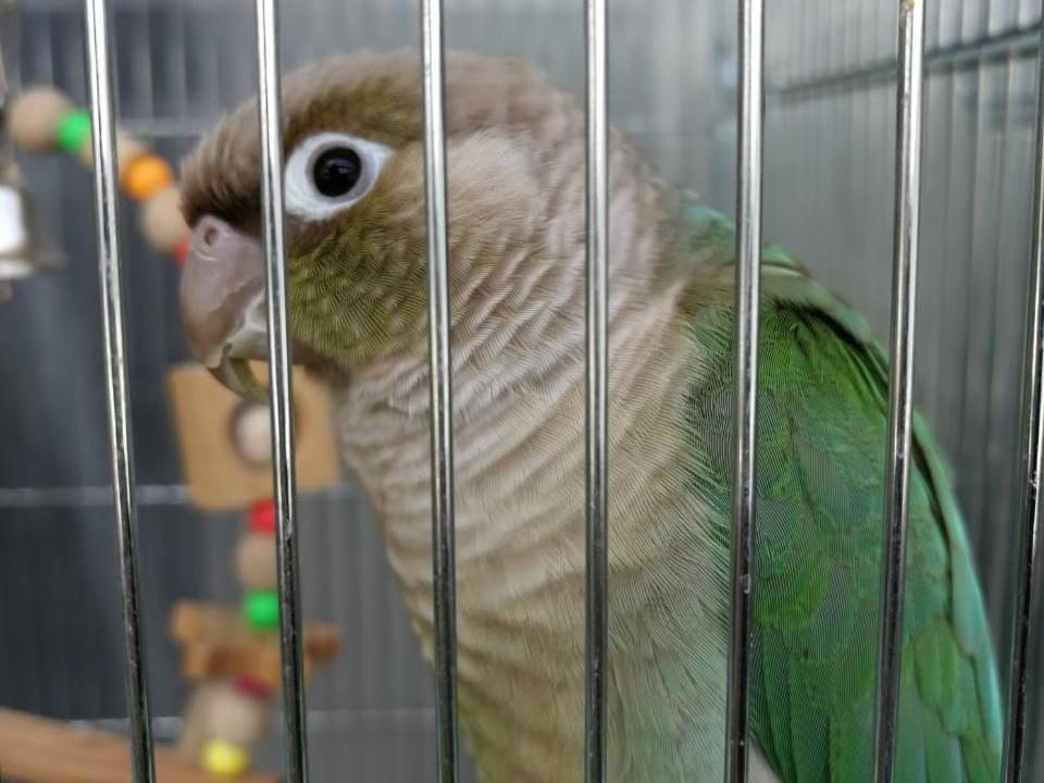 クーちゃん クーちゃん