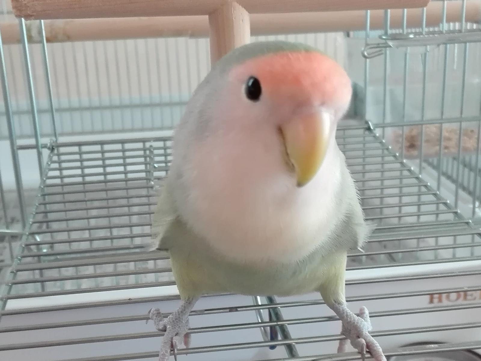 マルちゃん マルちゃん