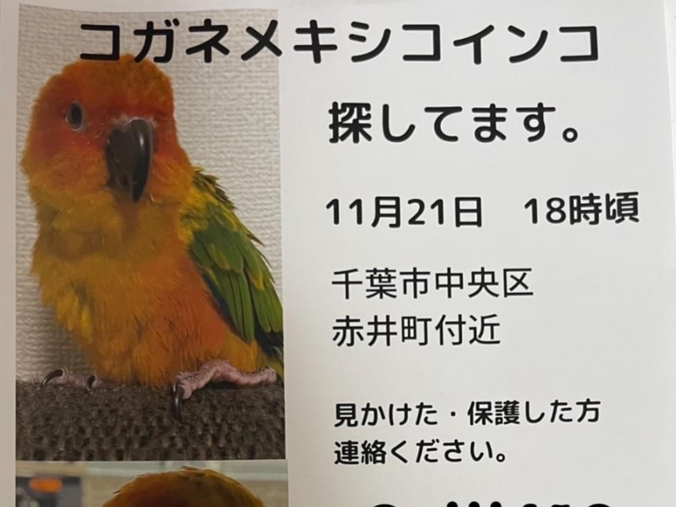 くーちゃん くーちゃん