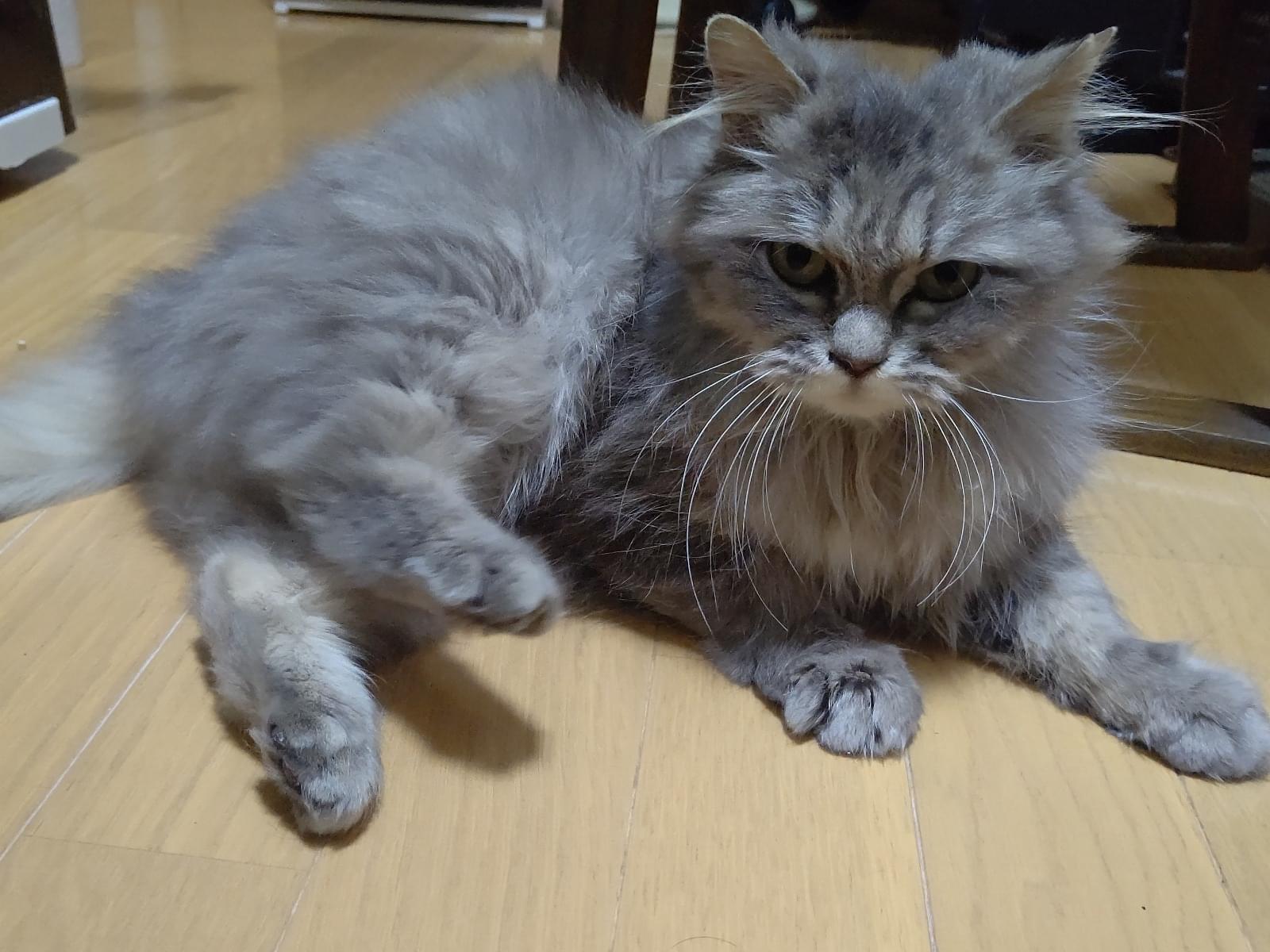 姫ちゃん