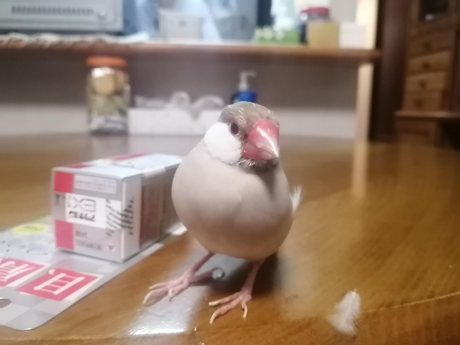 ちゃっちゃちゃん ちゃっちゃちゃん