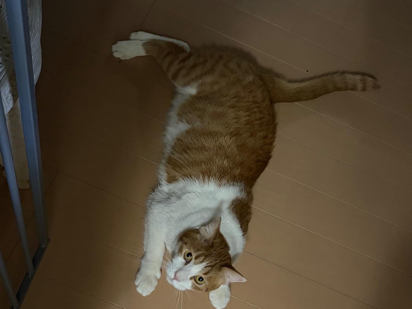 もぐちゃん