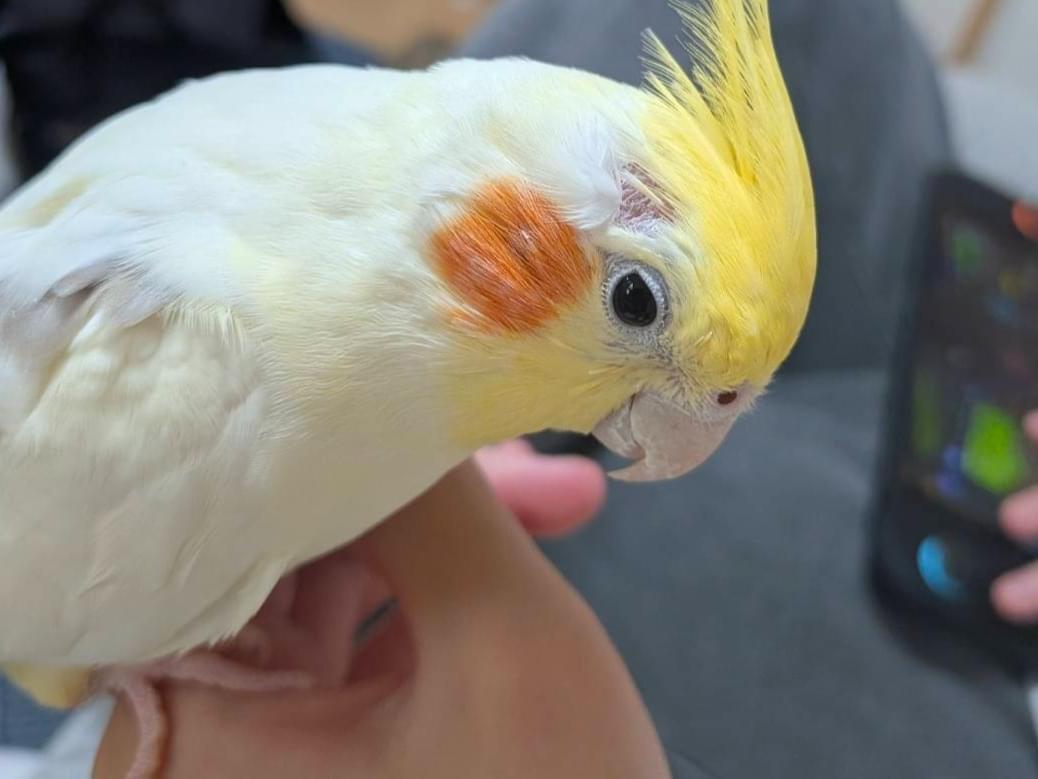 つむぎちゃん