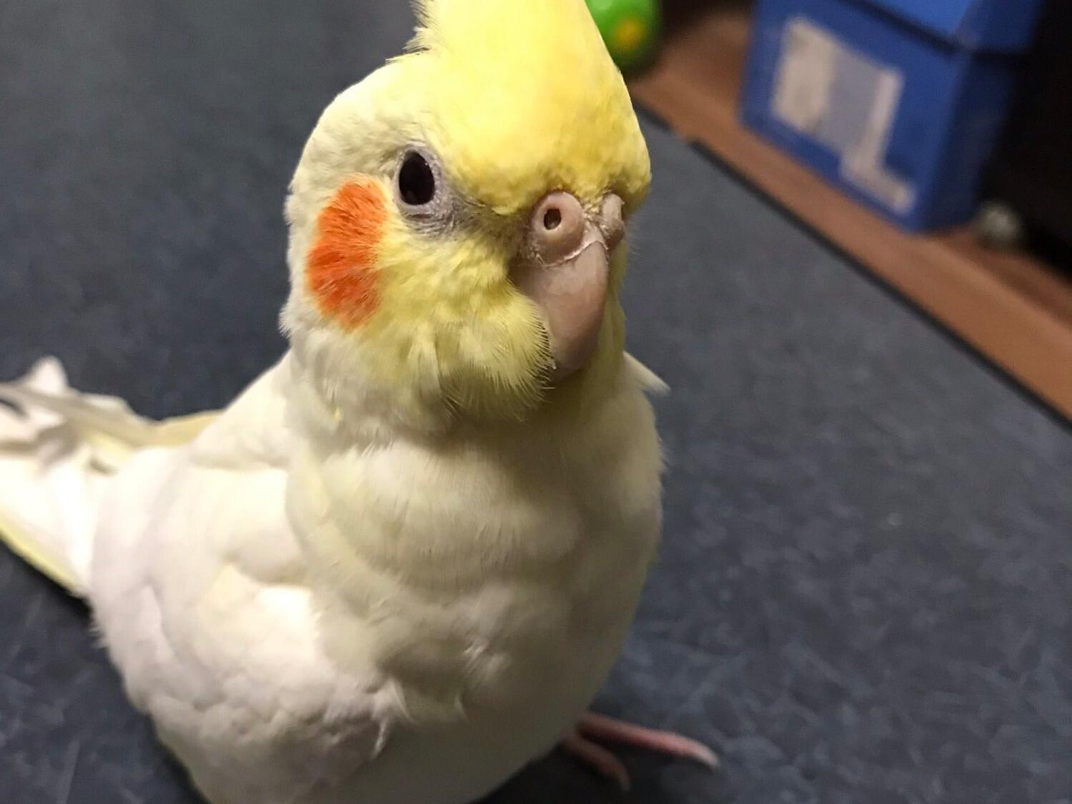 みっちゃん みっちゃん