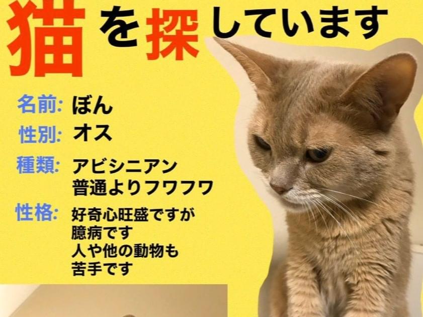 ぼんちゃん ぼんちゃん