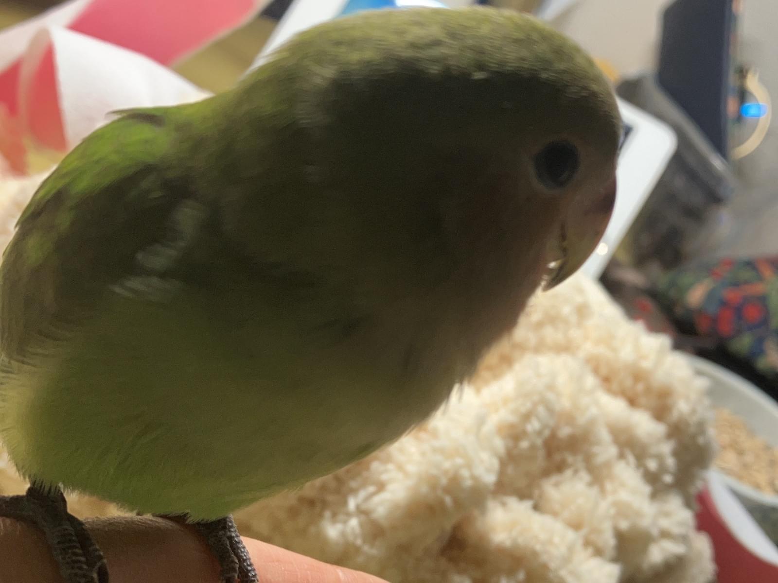まーちゃん まーちゃん