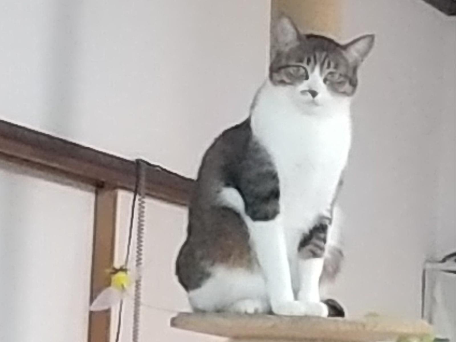 キキちゃん