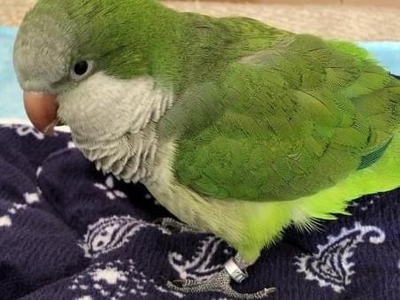 ひめちゃん ひめちゃん