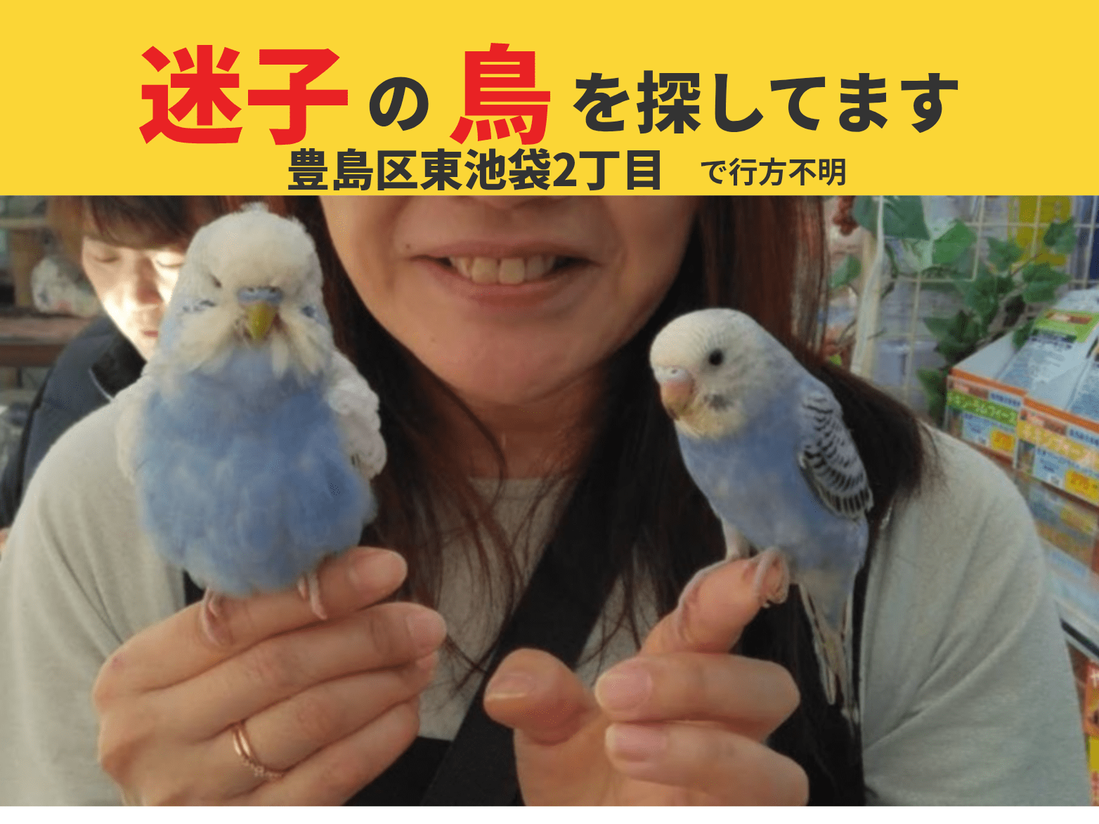 オーシャンちゃん