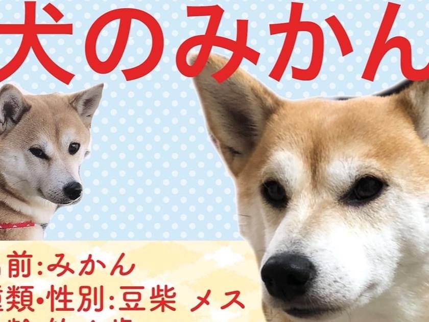 みかんちゃん みかんちゃん