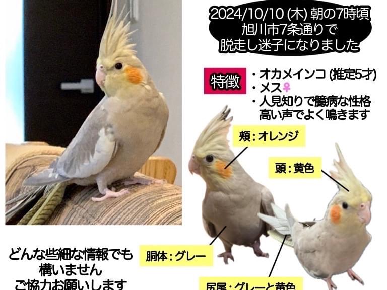 Qちゃん Qちゃん