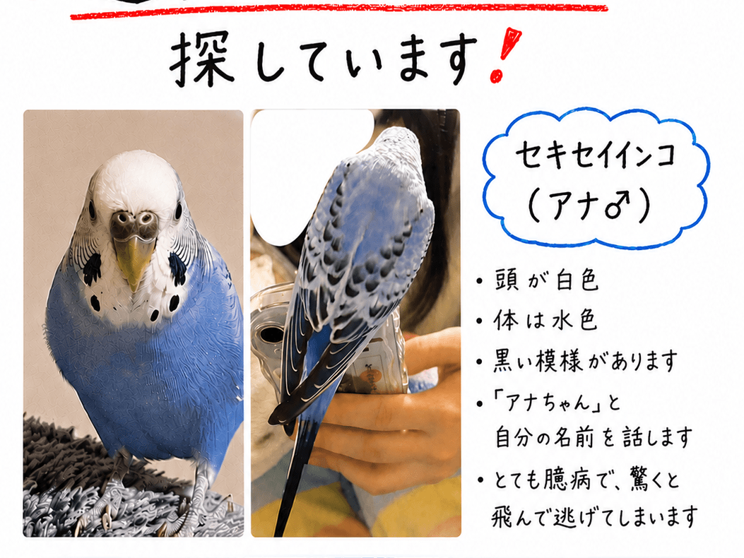 アナちゃん アナちゃん