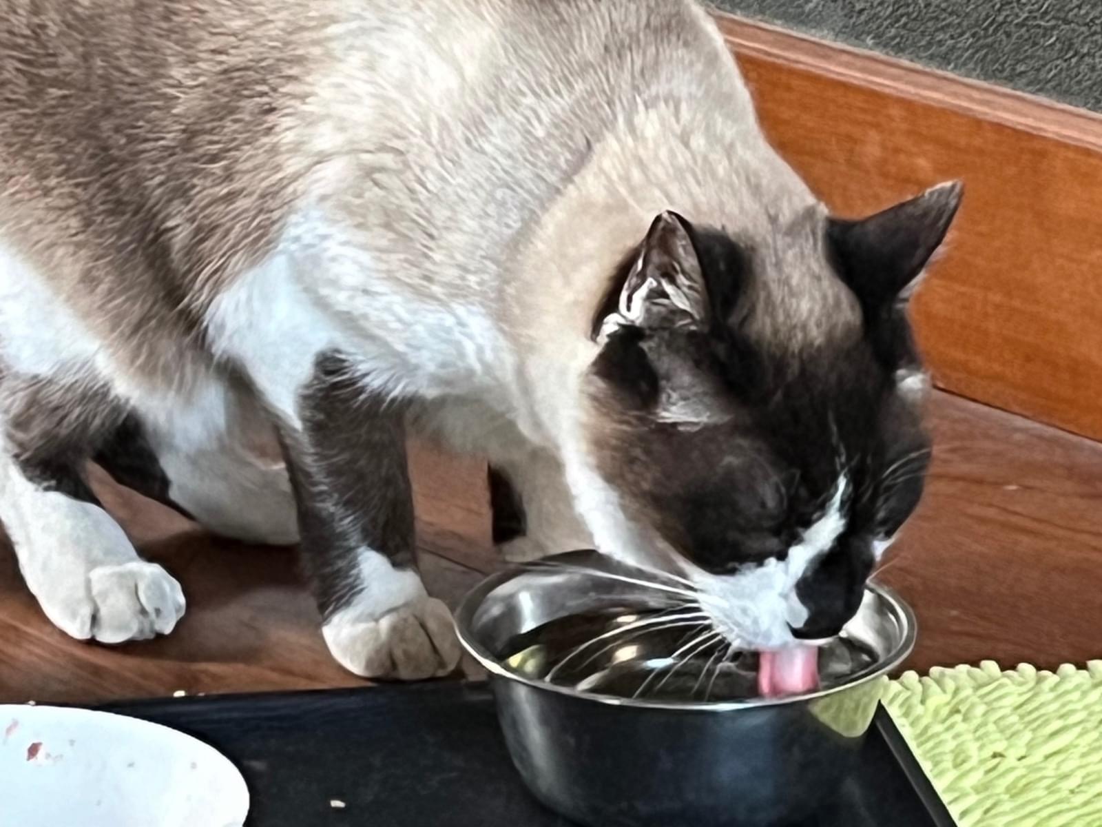 はるちゃん はるちゃん