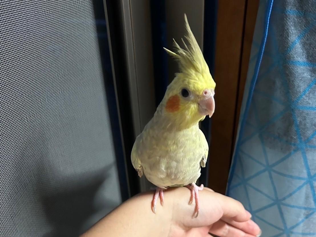 すいちゃん すいちゃん