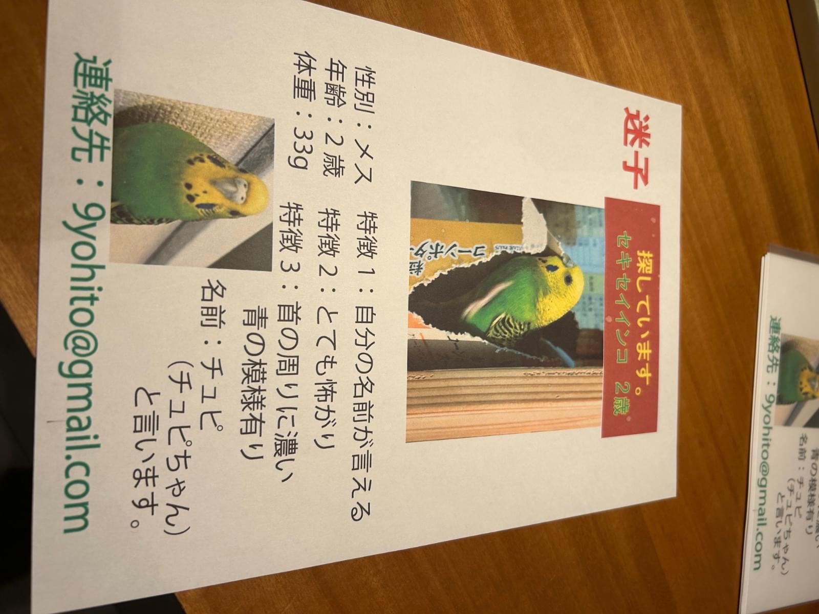 チュピちゃん チュピちゃん