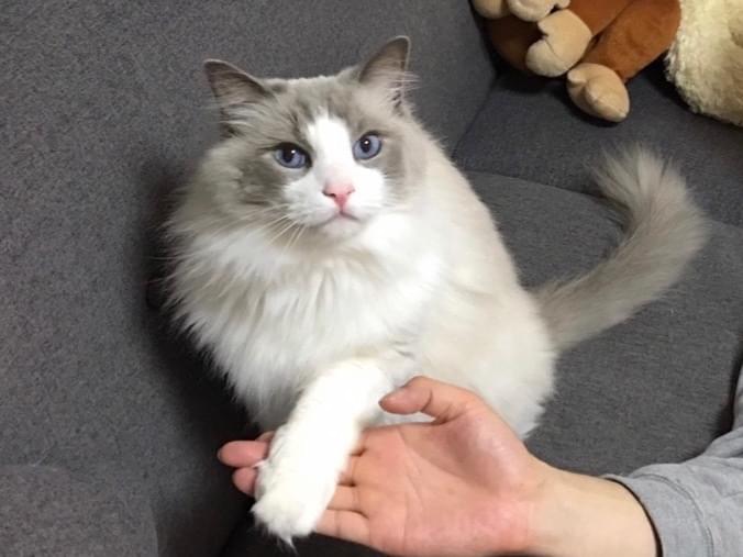 シオちゃん シオちゃん