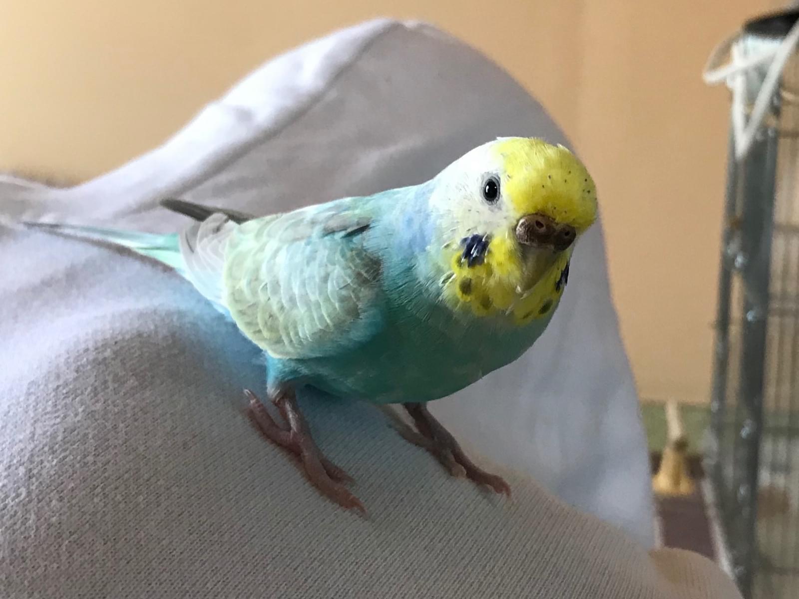 くーちゃん くーちゃん