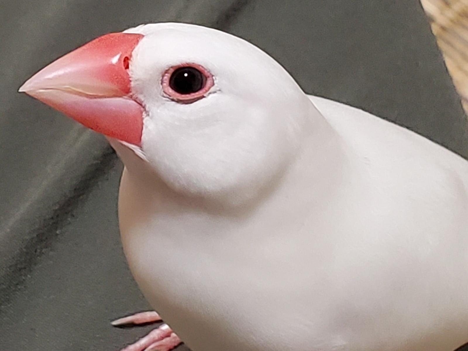 うめちゃん うめちゃん