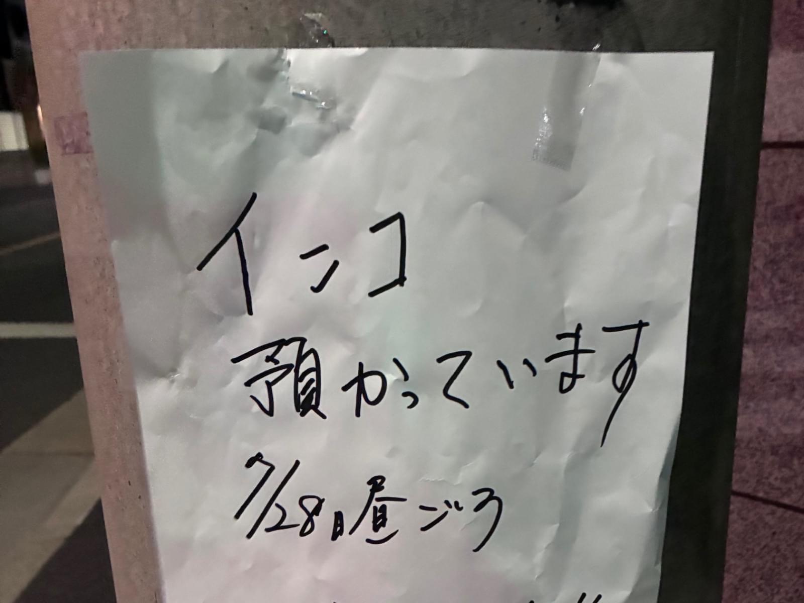 目撃された鳥 目撃された鳥